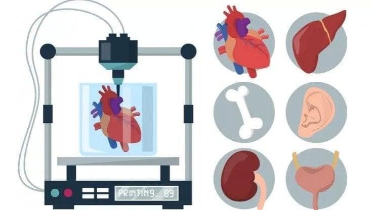 Le cellule staminali al posto dell'inchiostro: così hanno stampato l'orecchio in 3D