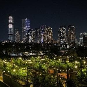 Le vigne urbane conquistano (anche) l'America: "All'inizio ci prendevano per matti"