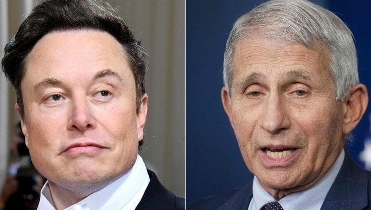 Bufera su Musk per un tweet contro Fauci e comunità Lgbtq+: "È un attivista di estrema destra"