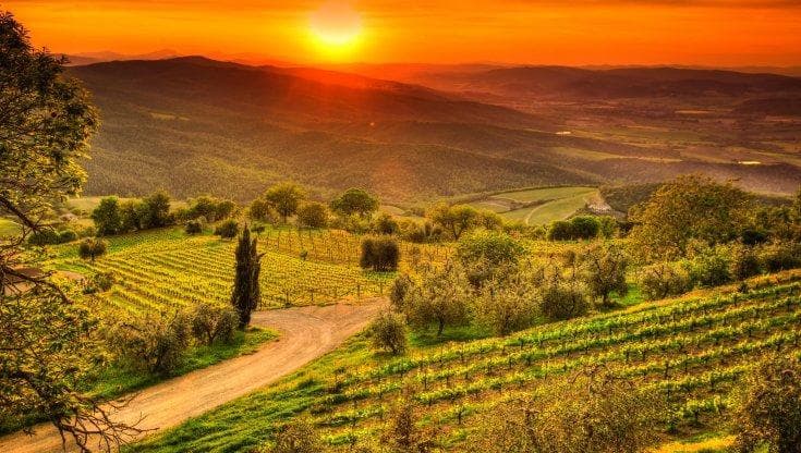 Chianti Classico, per i 100 anni del Consorzio ecco i consigli sulle ultime annate