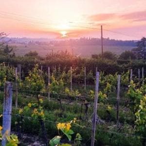 Tutti pazzi per il Monferrato: boom di turisti e investimenti