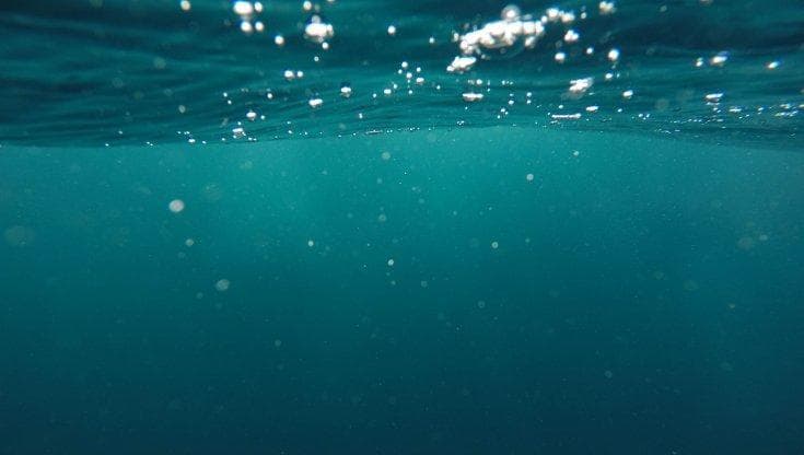 Dagli abissi marini i possibili antibiotici del futuro