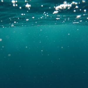 İnsanları (gözleri) etkileyen bir deniz virüsü: Türlerin sıçraması korkusu