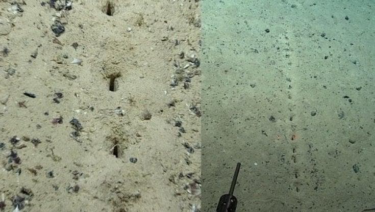 Il mistero dei buchi sul fondo dell'oceano Atlantico