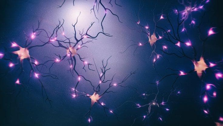 Il microbiota parla (anche) con i nervi periferici