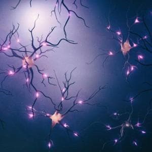 Il microbiota parla (anche) con i nervi periferici