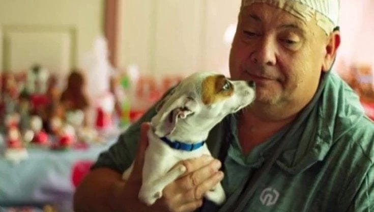 La storia dell'eroico Champ, il cane disabile che salva la vita al suo ...