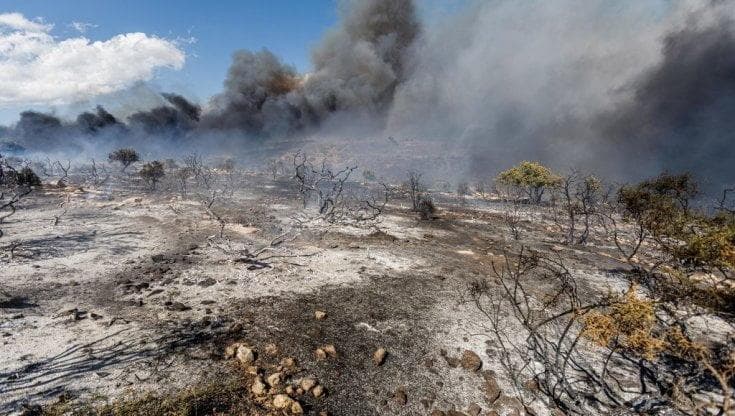 Inquinamento primo nemico della salute: sette milioni di morti premature