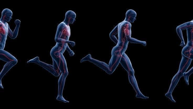 Apre a Milano il primo centro di cardiologia dello sport del Nord Italia