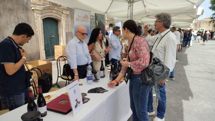Piccolo (produttore) è meglio: ecco 10 vini siciliani che vi suggeriamo di scoprire