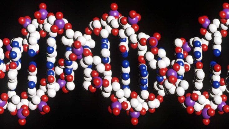 Scoperta la nuova tecnica per riprogrammare il Dna