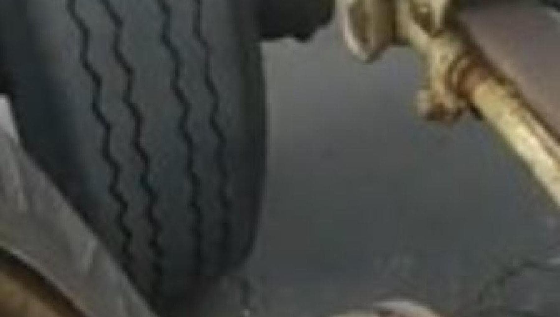 Le sorprendenti immagini del salvataggio di un gatto intrappolato nello ...