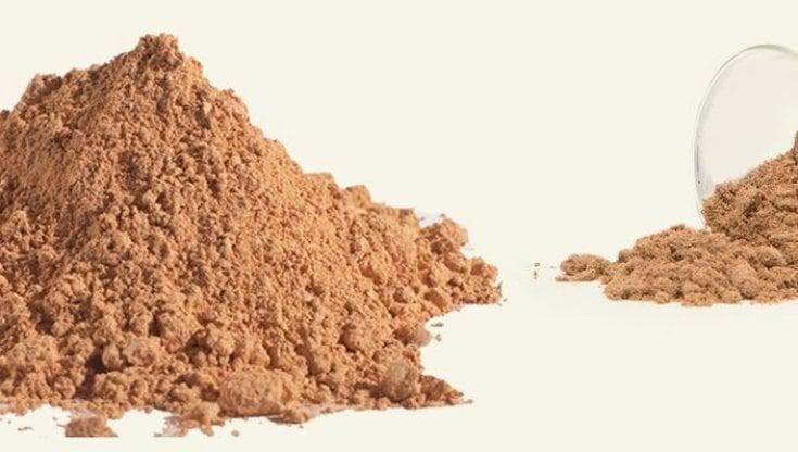 Insetti, via libera dell'Ue alla polvere di grillo in snack e alimenti