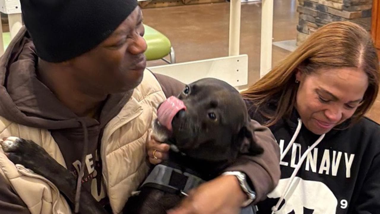 La reazione del cane che rivede la sua famiglia dopo sei mesi di ...