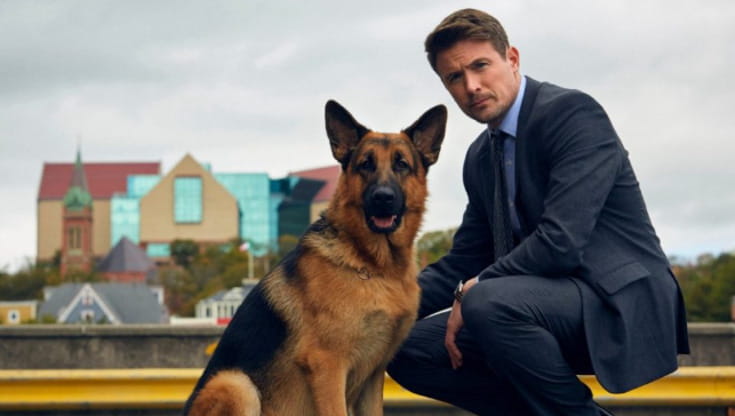 Addio a Rex, l’ultimo cane della serie tv discendente del primo ...