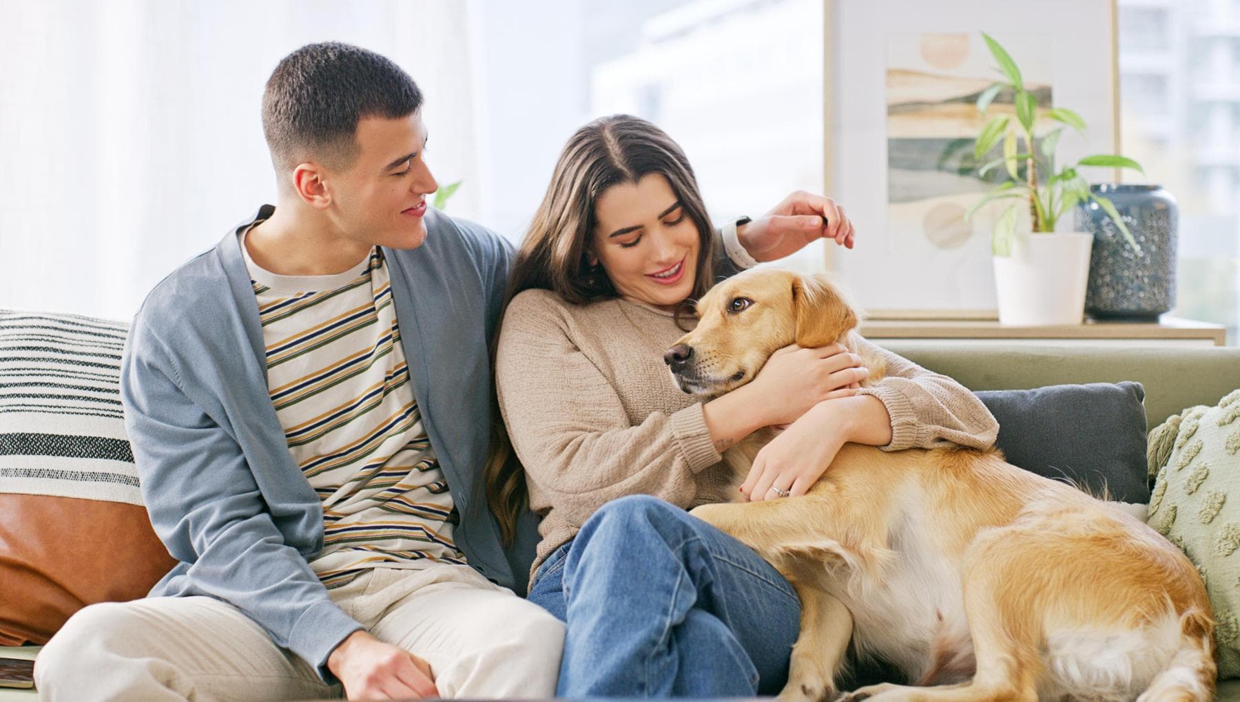 Obezite, Labrador ve insanlar aynı genleri paylaşıyor