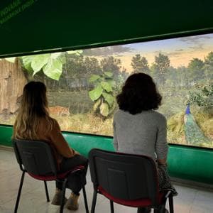 C’è un museo dove si cura (anche) ansia e stress