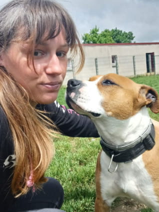 Adottato e abbandonato, il cane Jump torna in rifugio dopo due anni ma ...