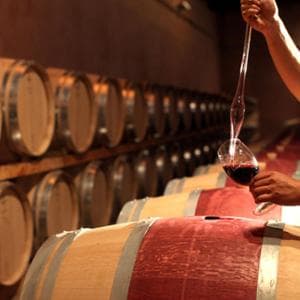 L’incubo dei dazi di Trump per i vini italiani: “Possibile danno da 470 milioni di euro”