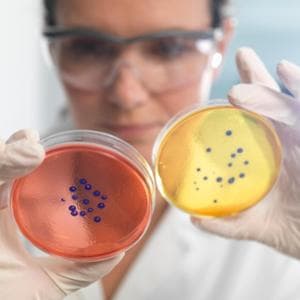 Antibiyotik direnci: İtalya'da yılda 12 bin ölüm. Ama artık yeni bir terapi var