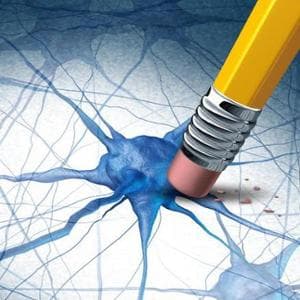 Il Nobel Yamanaka: “Dal Parkinson al cancro, super-terapie con le cellule riprogrammate”