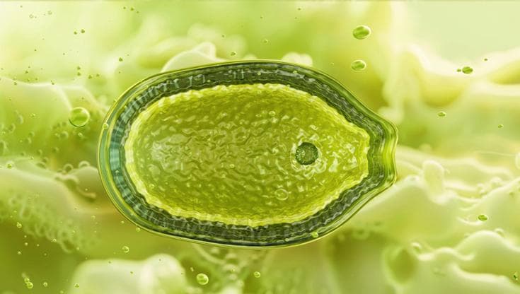 Science Photo Library