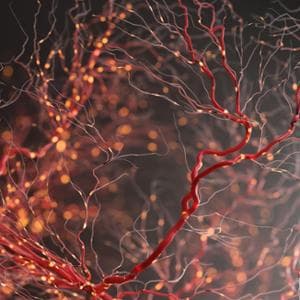 Le neuroscienze? Aiutano a gestire lo stress e le relazioni complicate