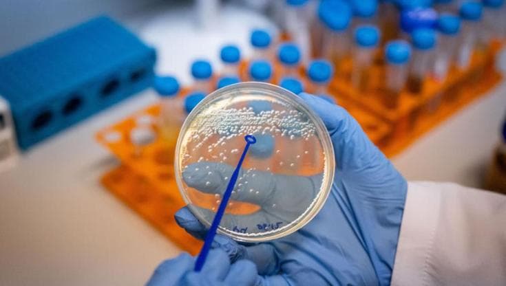 Virus, quattro super-farmaci contro le pandemie. Al lavoro sulla penicillina antivirale