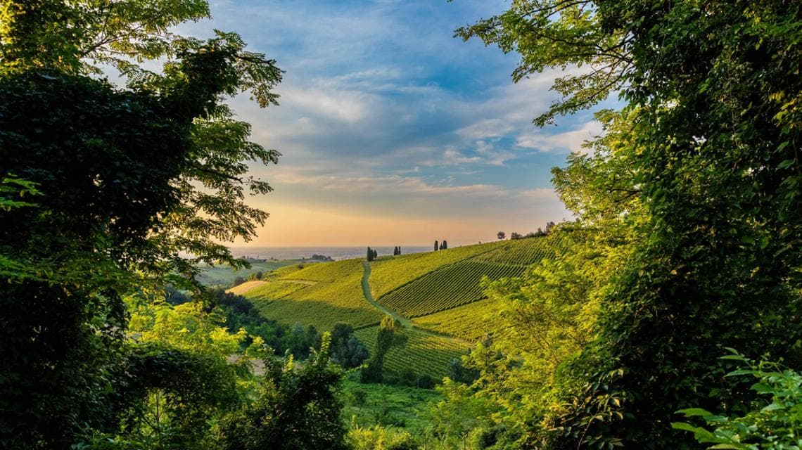 Alessandro Anglisani - Categoria Luoghi - Primo posto