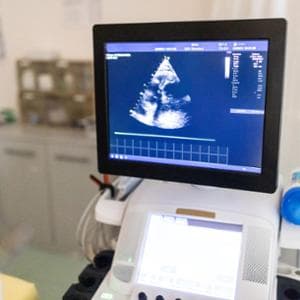 Kalbin atışı bir kalkan görevi görür ve onu tümörlerden ve metastazlardan korur.