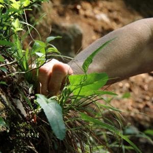 L’erba del vicino... è più gustosa: cinque piatti da provare