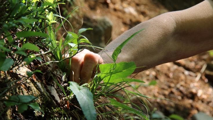 L’erba del vicino... è più gustosa: cinque piatti da provare