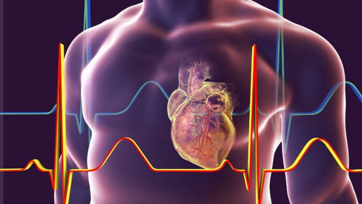 Coronarie, valvole e non solo: l’Italia degli interventi senza bisturi sul cuore