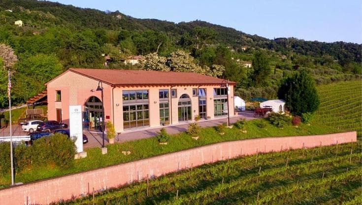 Alle porte dei Colli Berici, i vini potenti della cantina Le Pignole