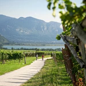 Pedalando tra i vigneti: così l’Alto Adige Südtirol diventa un laboratorio di esperienze