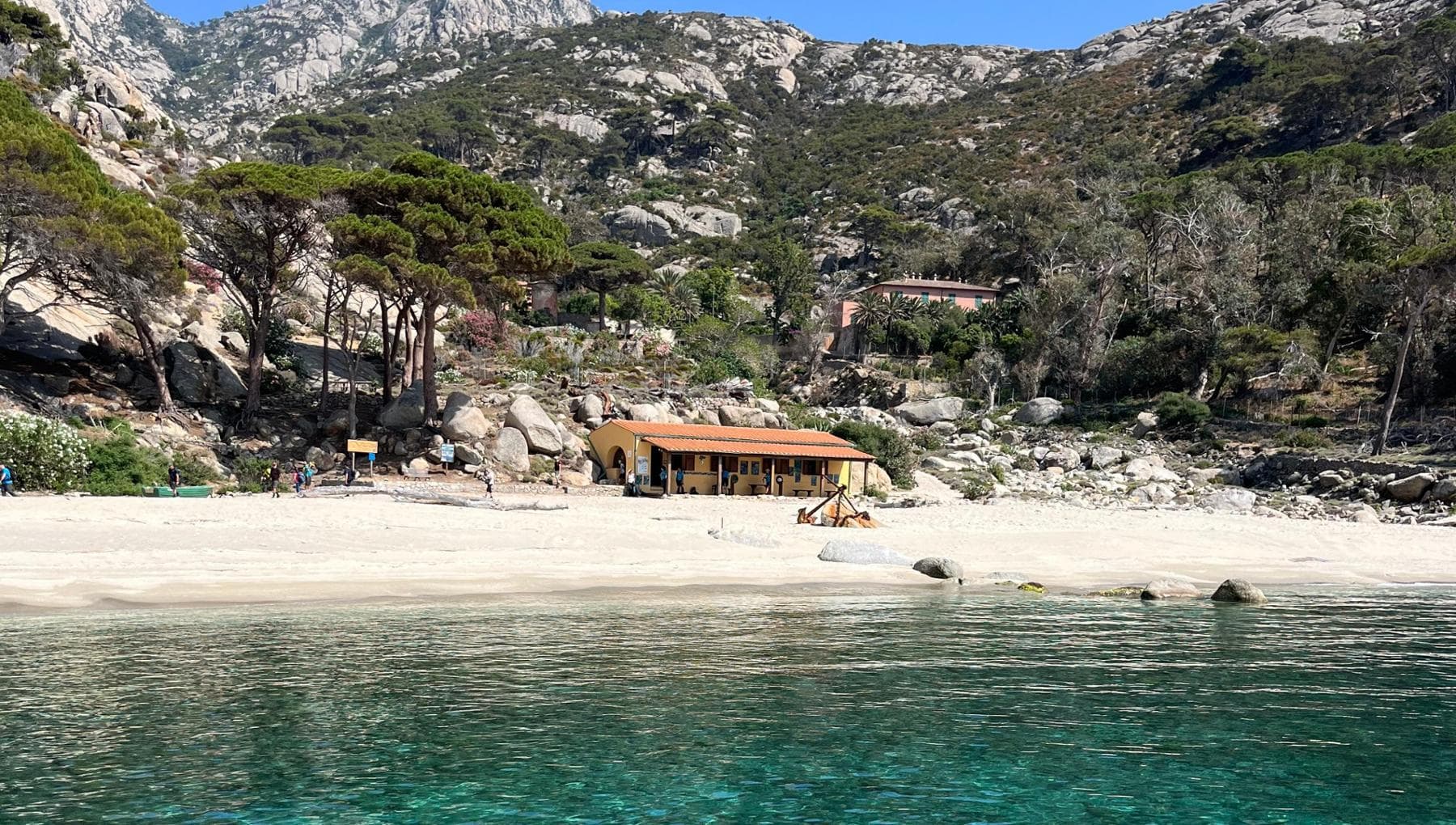 Montecristo, l’isola dove il tesoro è la biodiversità - la Repubblica