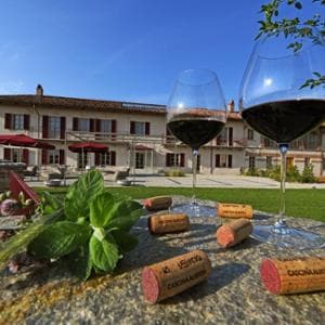 Vino, tra Langhe e Roero arriva Tellus Project: investimento da 20 milioni di euro