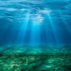 Energia solare subacquea: la perovskite cattura la luce anche in immersione