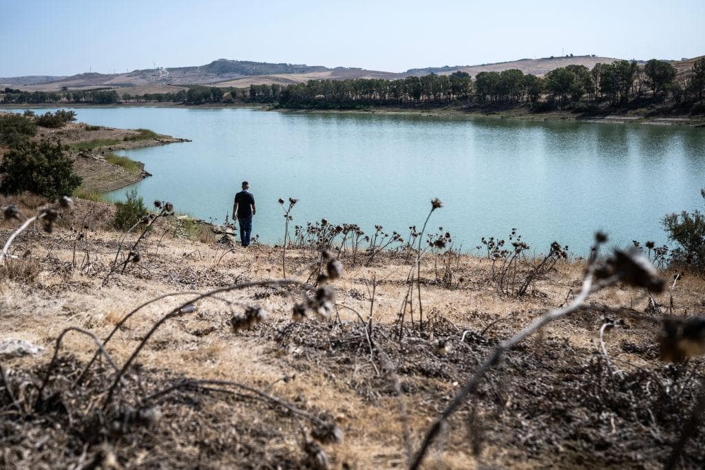 Il Lago della Trinità, a Castelvetrano, in Sicilia, dove la siccità ha messo in ginocchio gli agricoltori (8 agosto 2025, AFP/Getty Images)