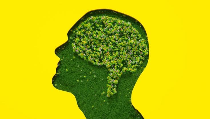 Gli ottimisti? Li riconosci dal cervello