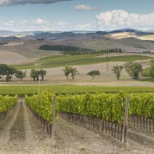 Montalcino, il Premio Casato Prime Donne a Darya Majidi. Anche Il Gusto fra i vincitori