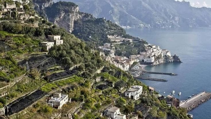 I terrazzamenti agricoli di Amalfi patrimonio dell’umanità per la Fao