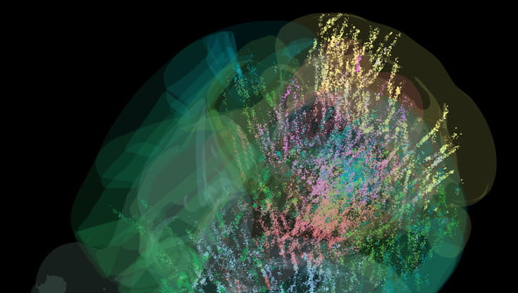 Credit: Dan Birman, International Brain Laboratory