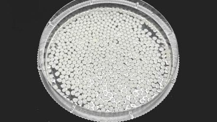 Allo studio micro-perle vegetali che catturano i grassi nell’intestino