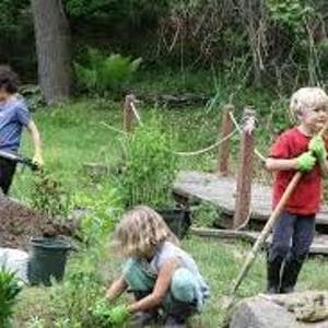 Che fine ha fatto l'educazione ambientale nella nostre scuole?