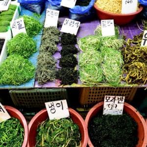L’Eden sommerso: le alghe e il futuro dell’alimentazione