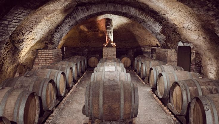 La barricaia delle Cantine del Notaio, a Rionero in Vulture