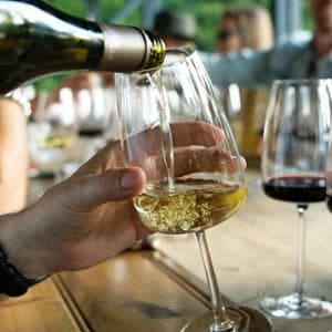 Alle falde del Pollino, i vini sorprendenti di Masseria Falvo 1727