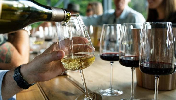 Alle falde del Pollino, i vini sorprendenti di Masseria Falvo 1727