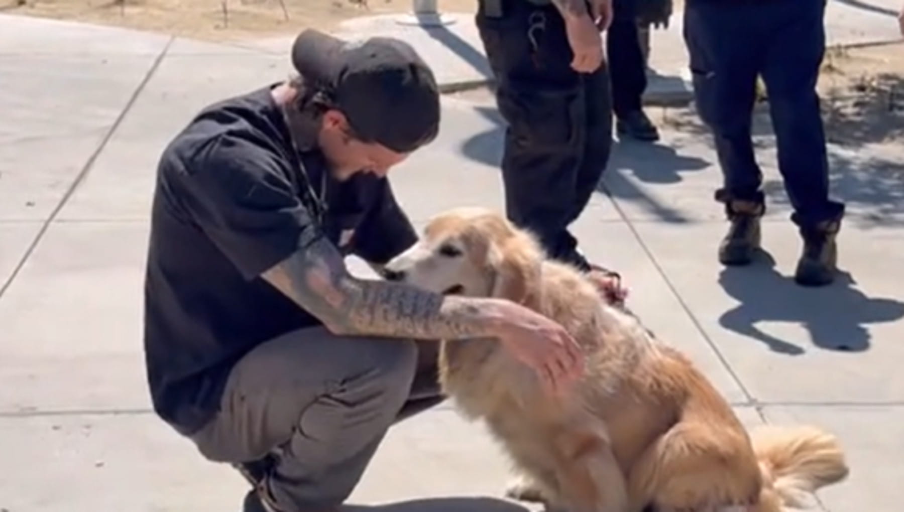 L’incontro inaspettato che ha cambiato la vita del cane Chief e di un ...